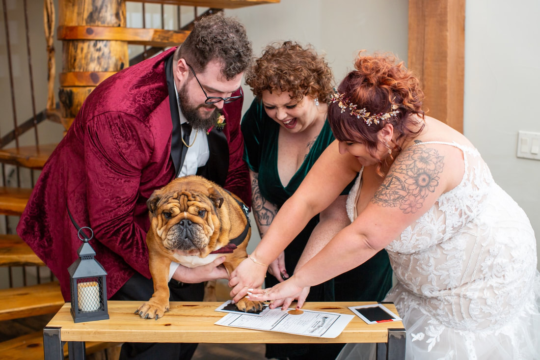 A dog's inked paw print signed on a Colorado marriage license as a witness.